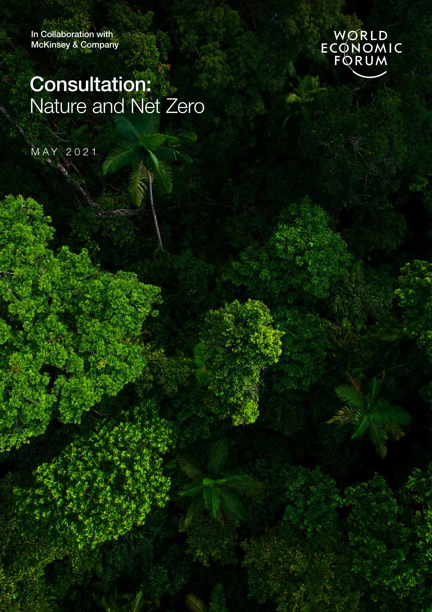 世界经济论坛-自然与净零（英文）-2021.05-37页