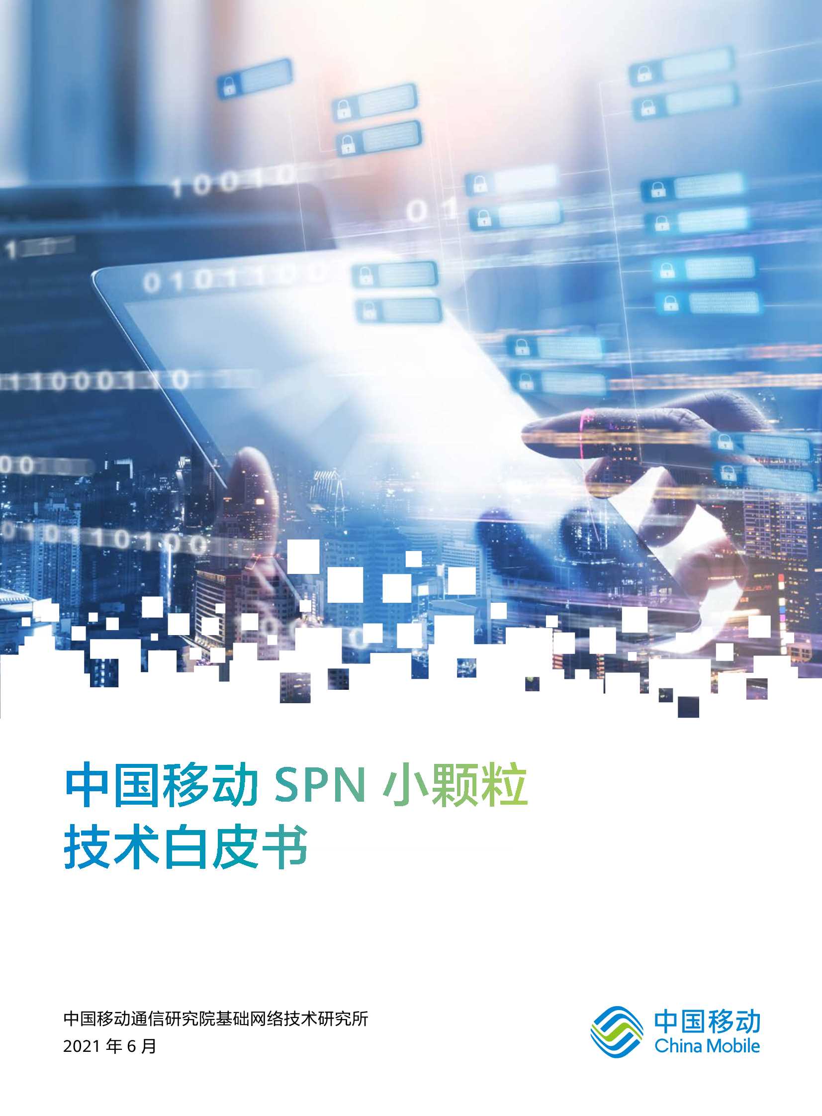 中国移动-SPN小颗粒技术白皮书-2021.06-28页