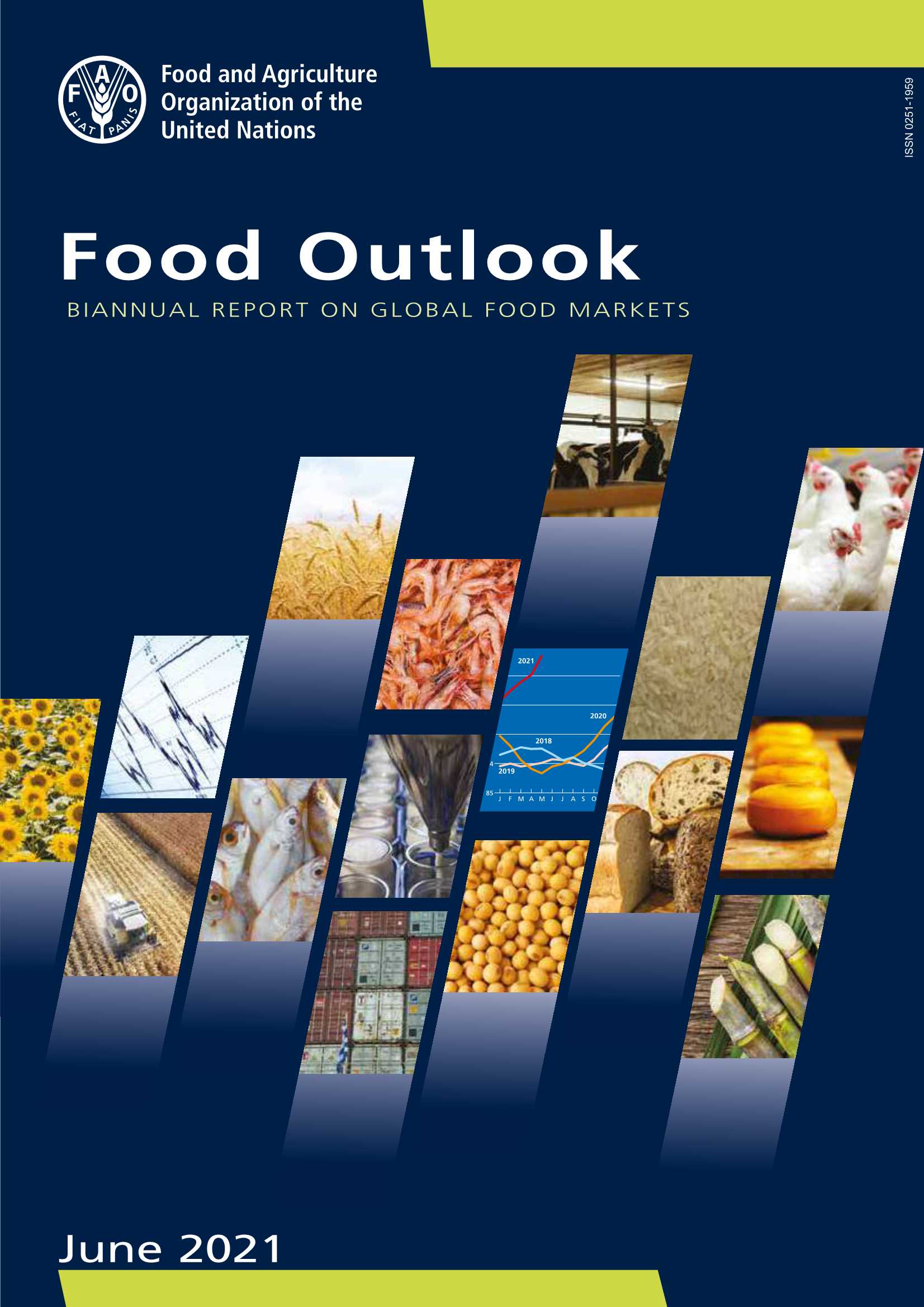 联合国粮食及农业组织-2020年全球粮食展望报告-2021.06-188页