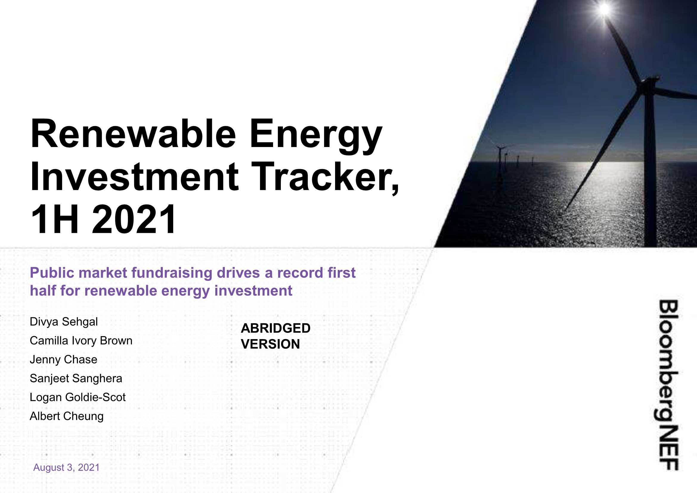 2021年上半年可再生能源投资跟踪-2021.08-21页