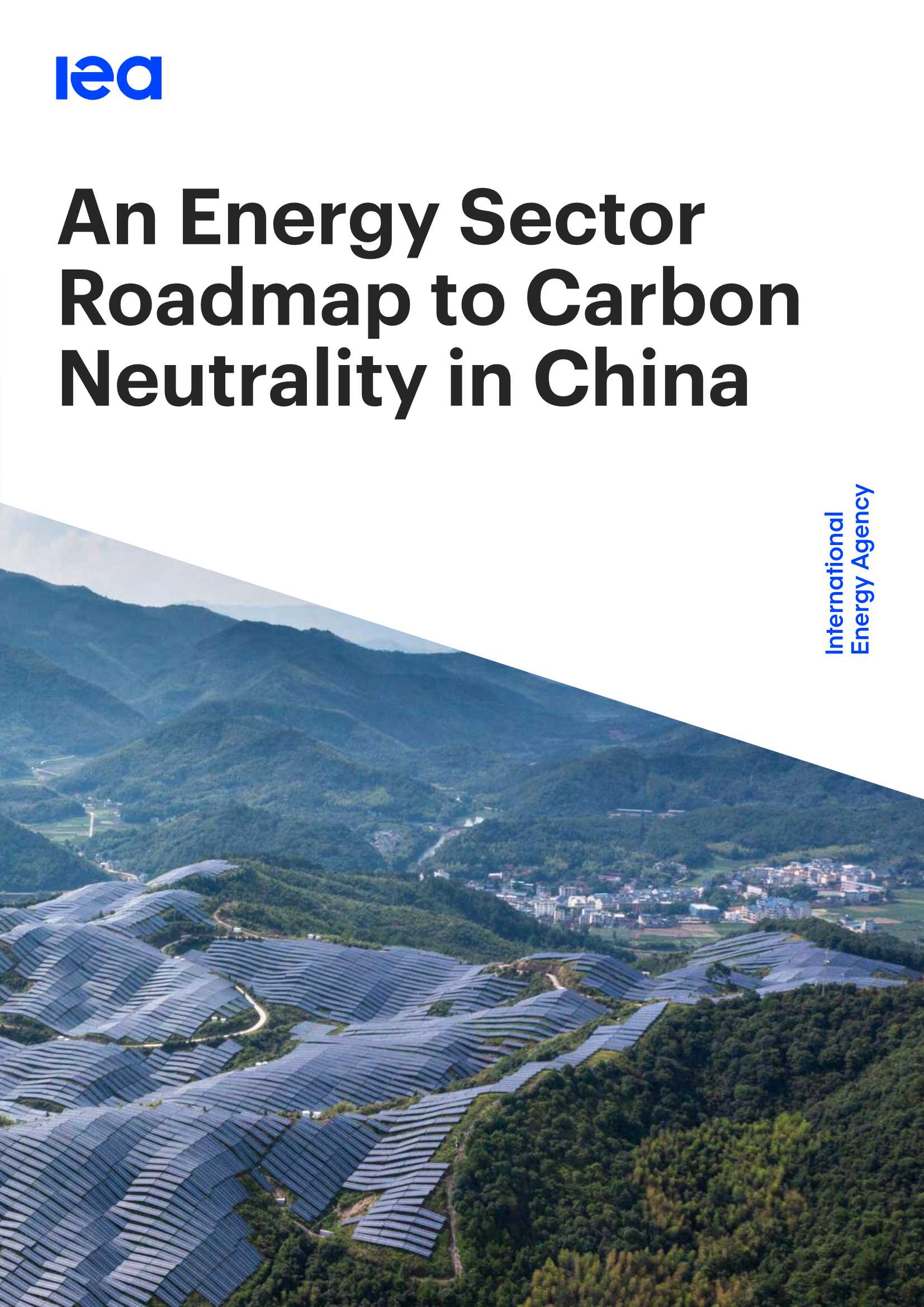 中国能源体系碳中和路线图-2021.10-304页