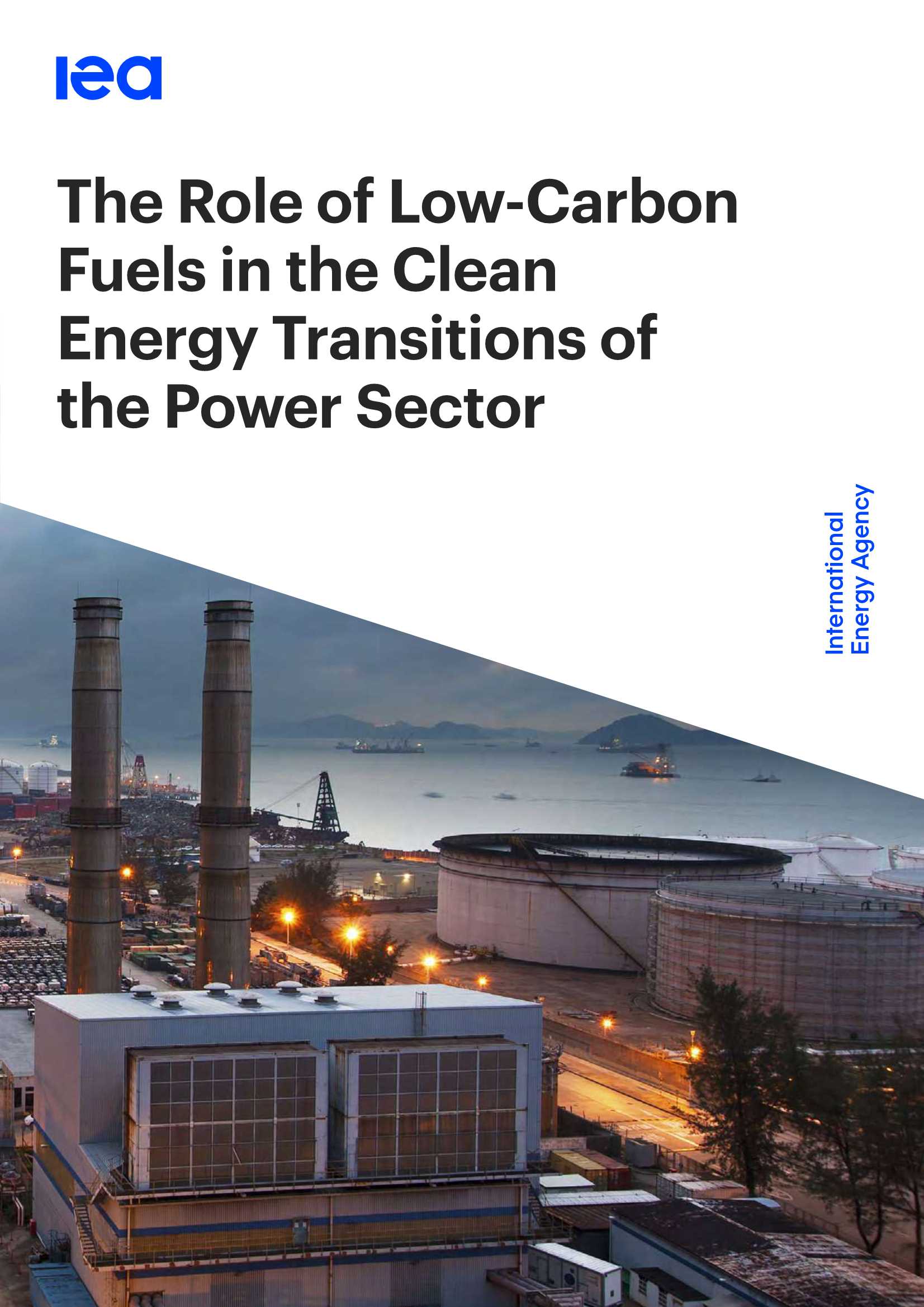 在电力部门低碳转型中低碳燃料的作用-2021.10-116页