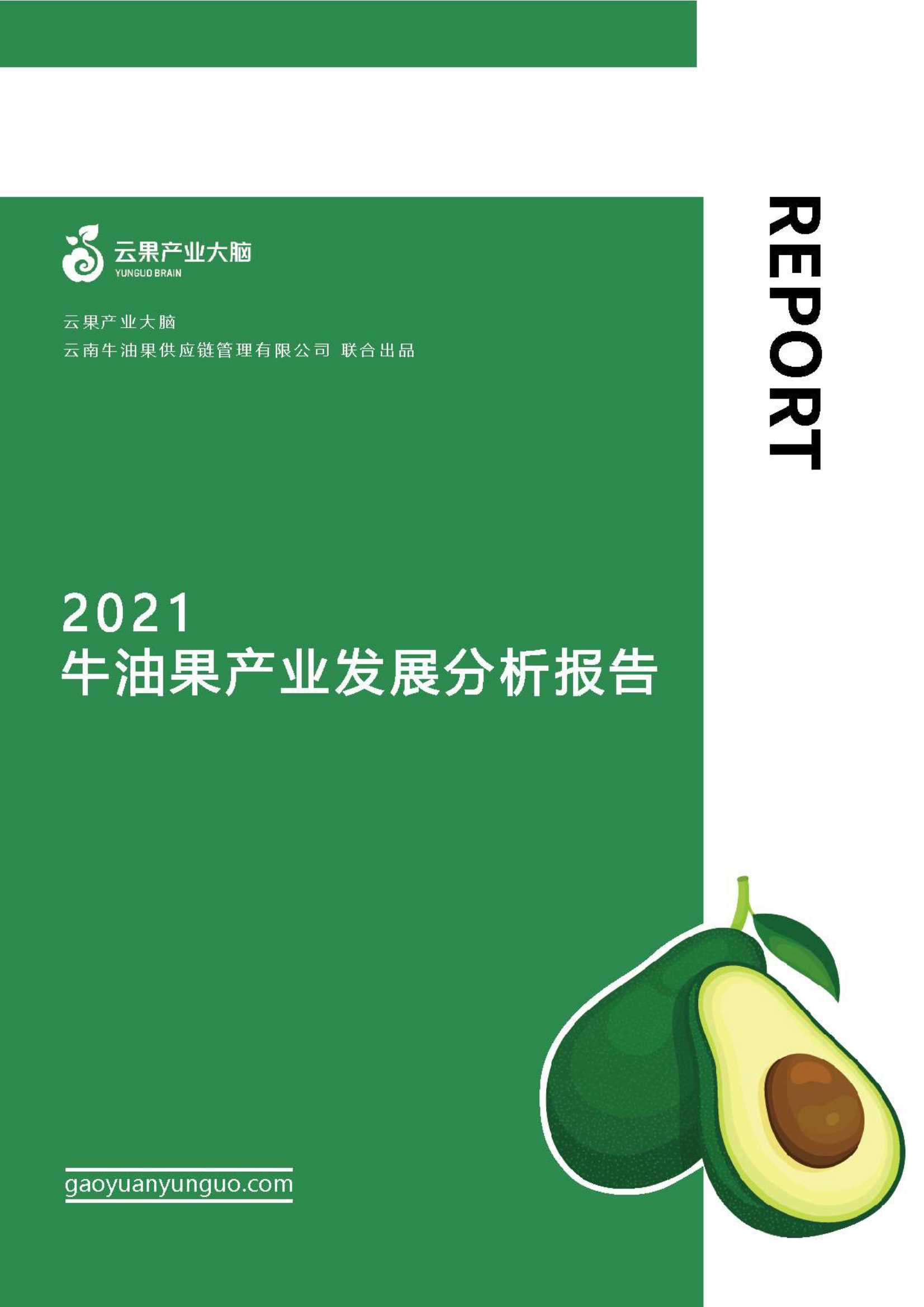 云果-2021牛油果产业发展分析报告-2021.11-26页