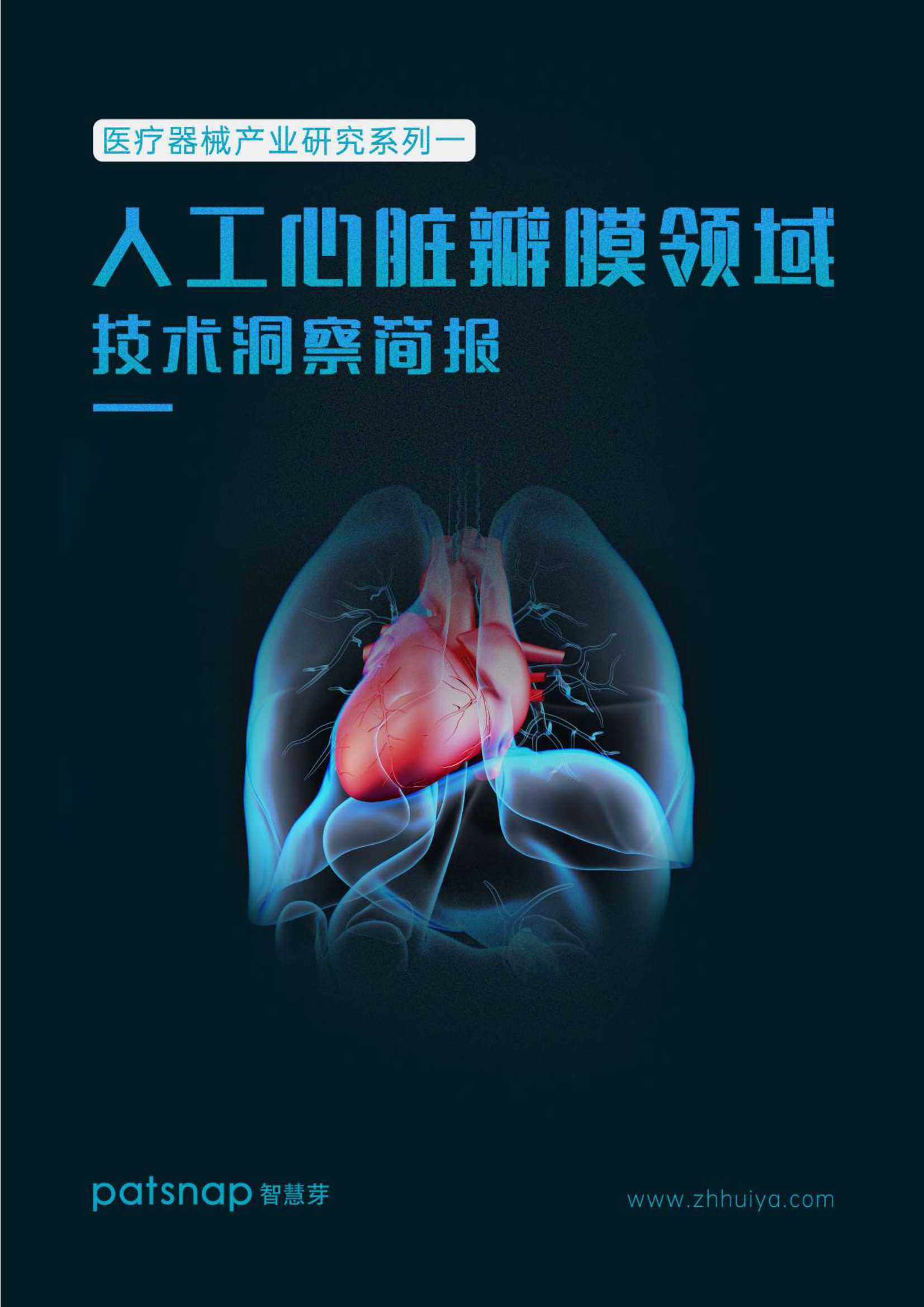 智慧芽-医疗器械产业研究系列一——人工心脏瓣膜领域技术洞察简报-2021.11-15页