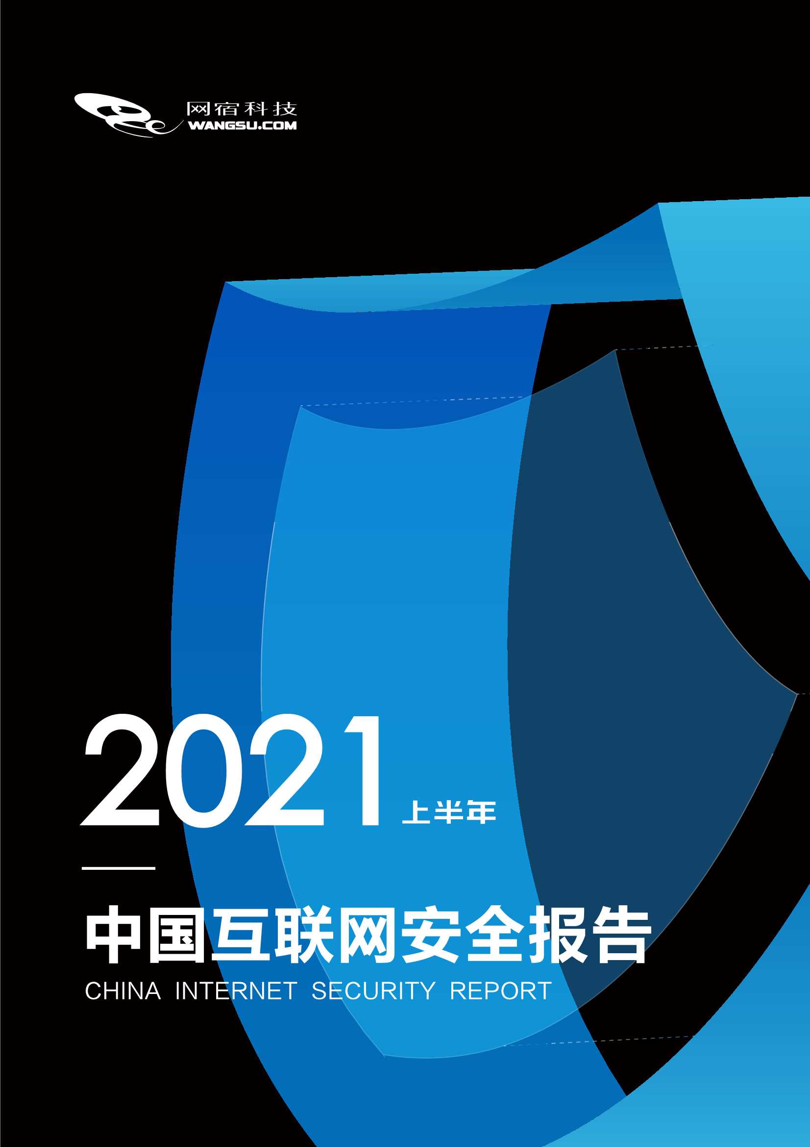 网宿科技-中国互联网安全报告（2021年上半年）-2021.11-25页