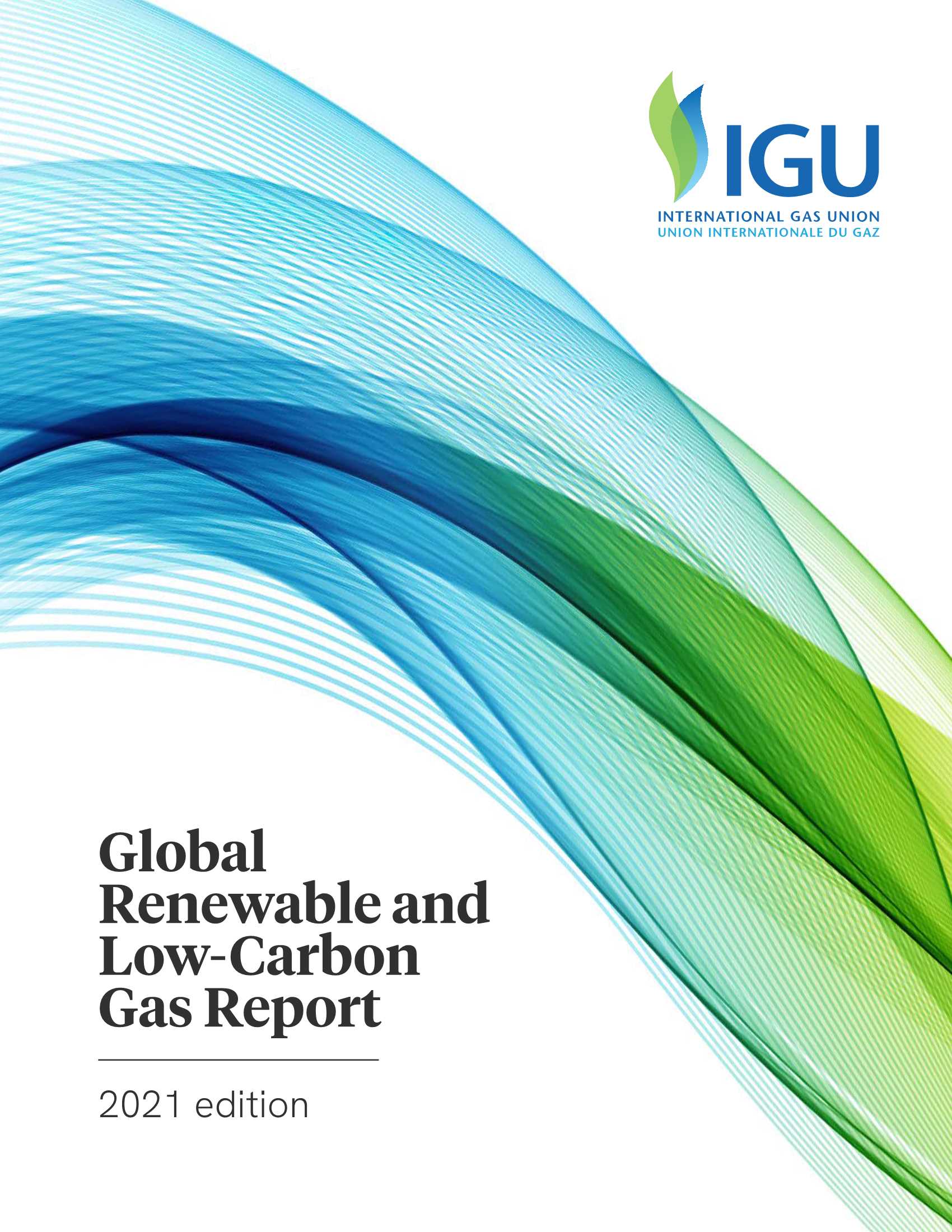 全球可再生和低碳气体报告2021-2021.11-50页