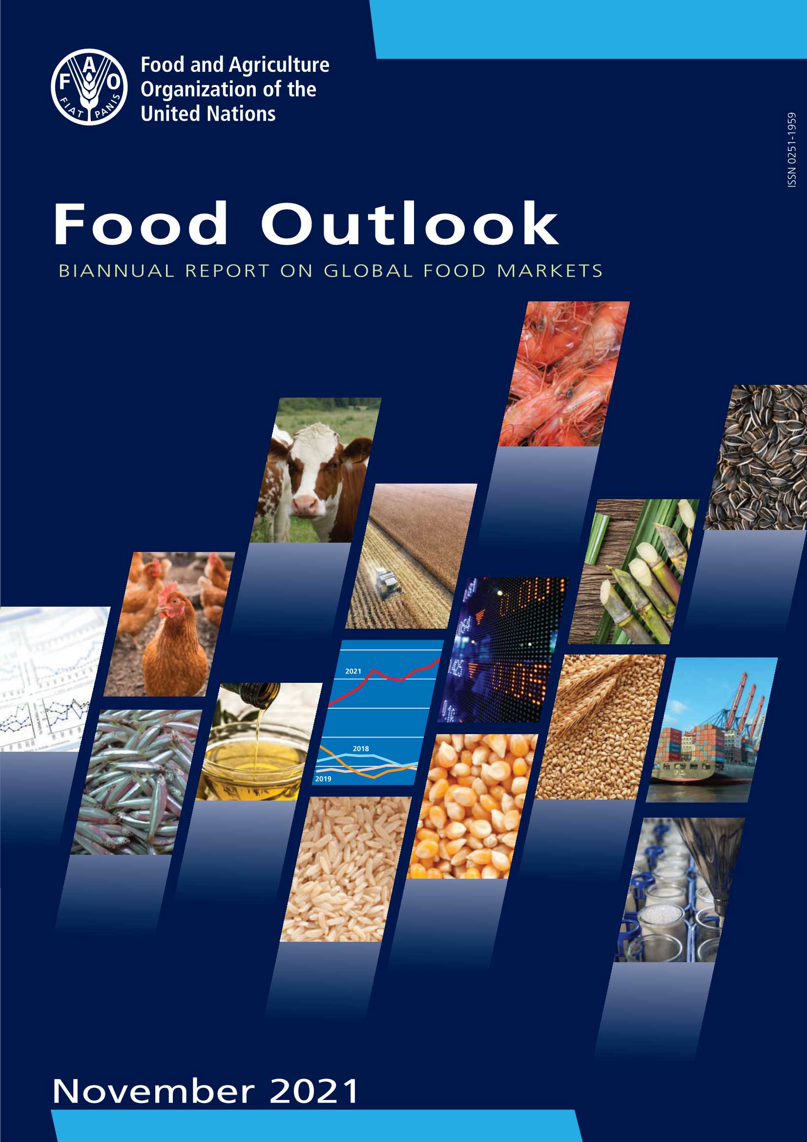 粮食展望报告：全球粮食进口费用将在2021年创历史新高-2021.11-112页