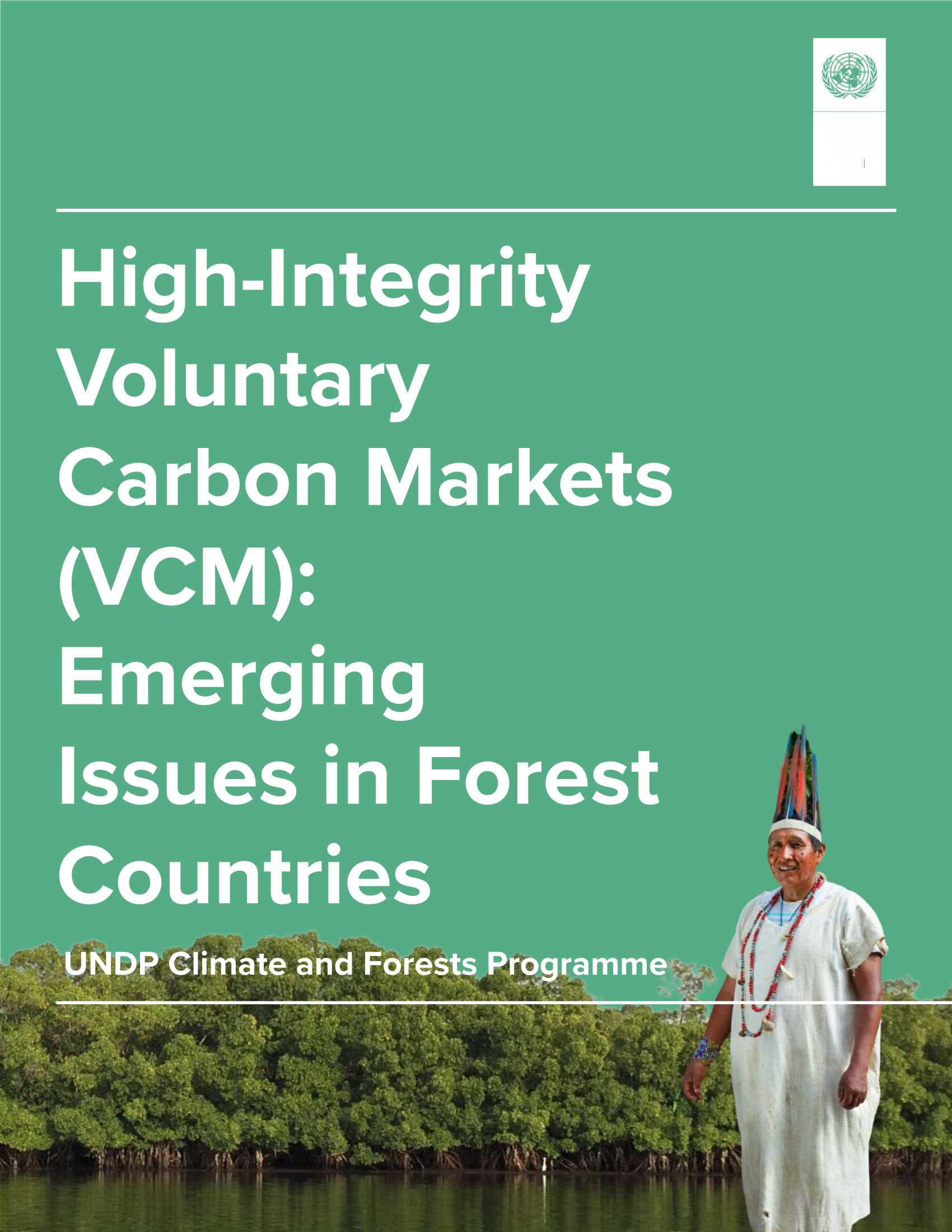 undp-高诚信自愿碳市场（VCM）：森林国家的新问题（英）-2021.11-33页