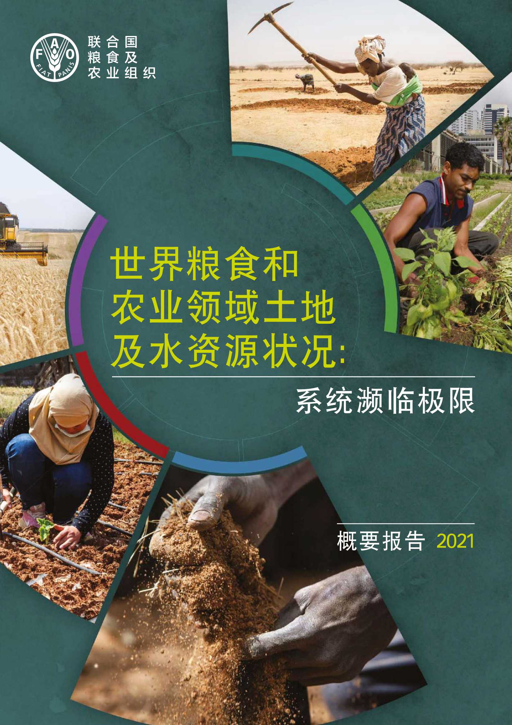 2021年世界粮食和农业领域土地及水资源状况中文报告-2021.12-82页