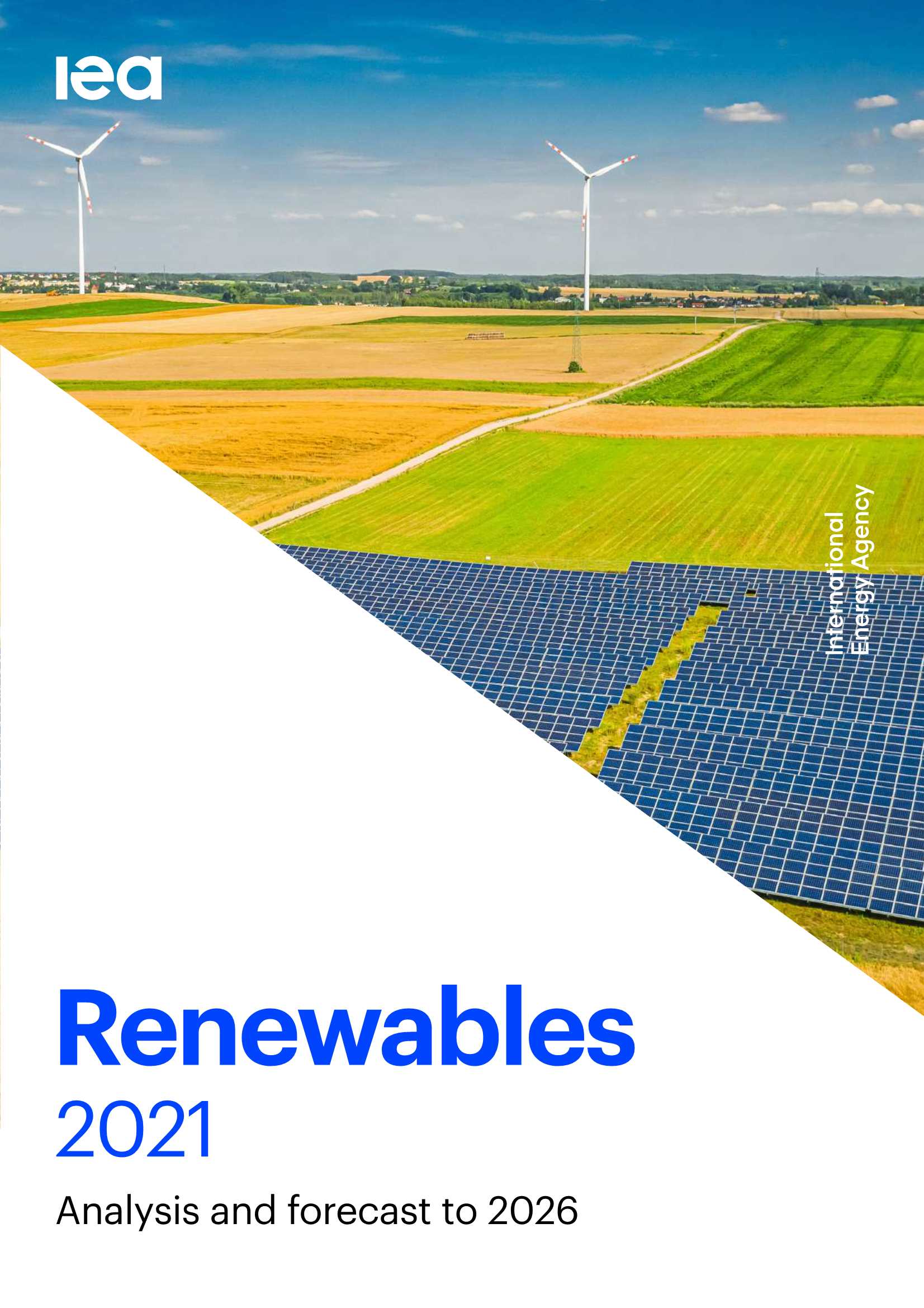 2021年可再生能源报告（英）-2022.01-175页