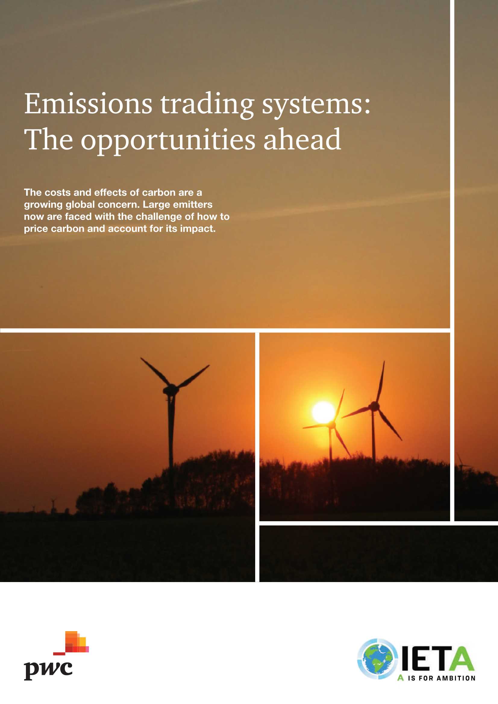 普华永道-碳排放交易体系：未来的机遇（英文）-2022.01-28页