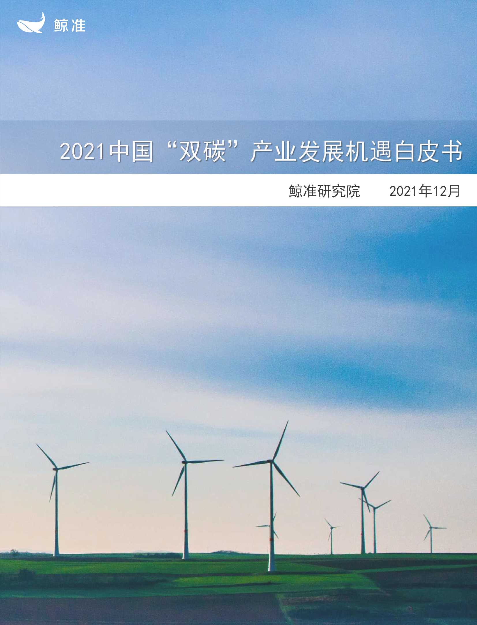鲸准研究院-中国“双碳”产业发展机遇白皮书（2021年）-2022.03-36页