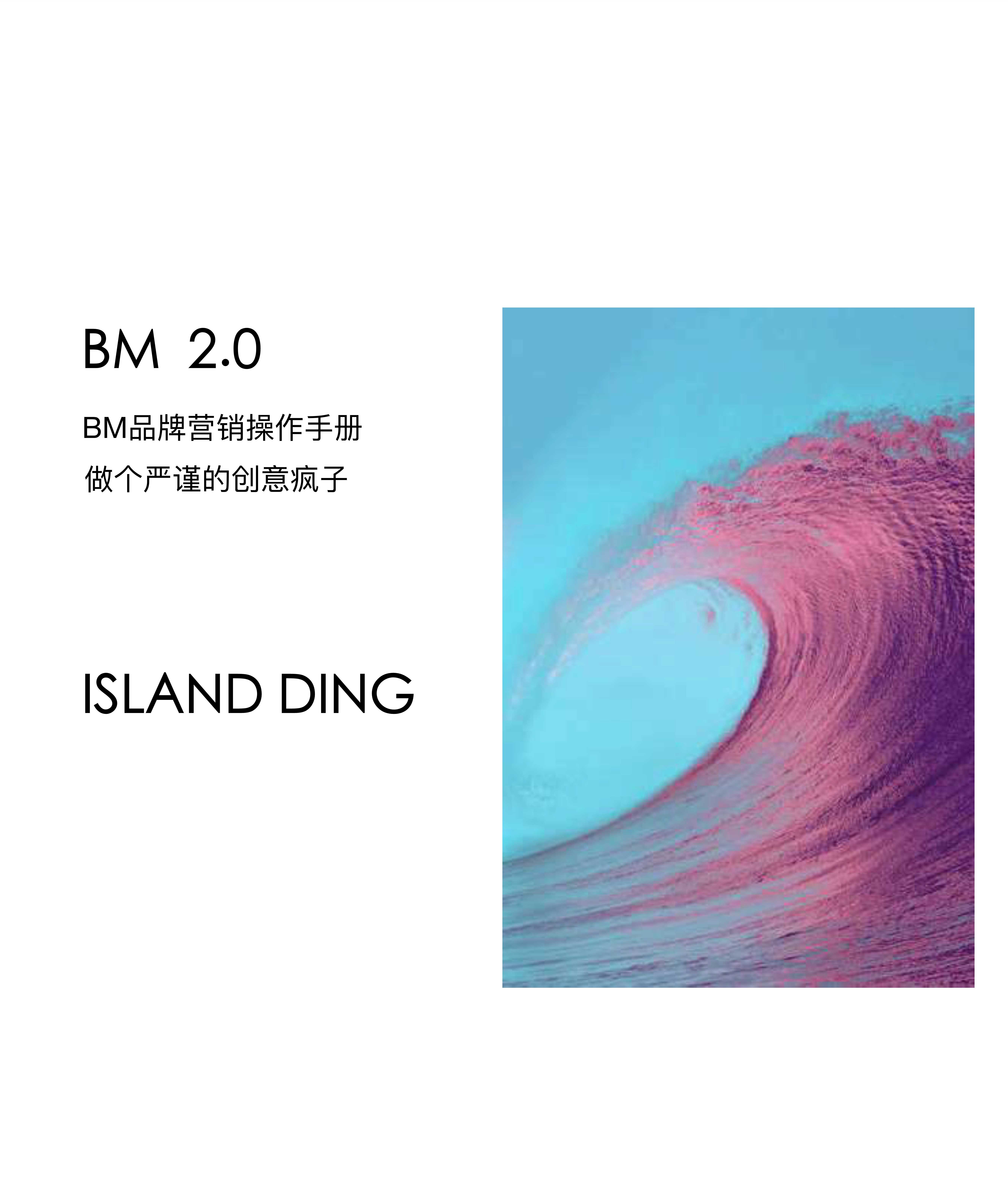 ISLAND DING-BM品牌营销操作手册：做个严谨的创意疯子-2022.04-34页